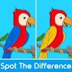 Differences Detective