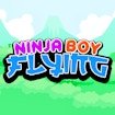 Ninja Boy Flying